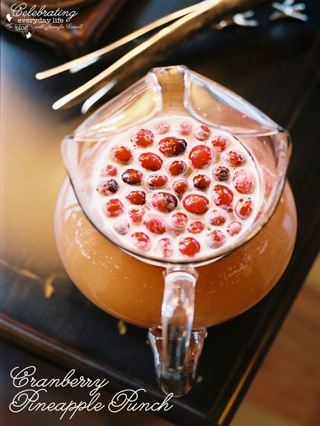 cranberry pineapple punch
