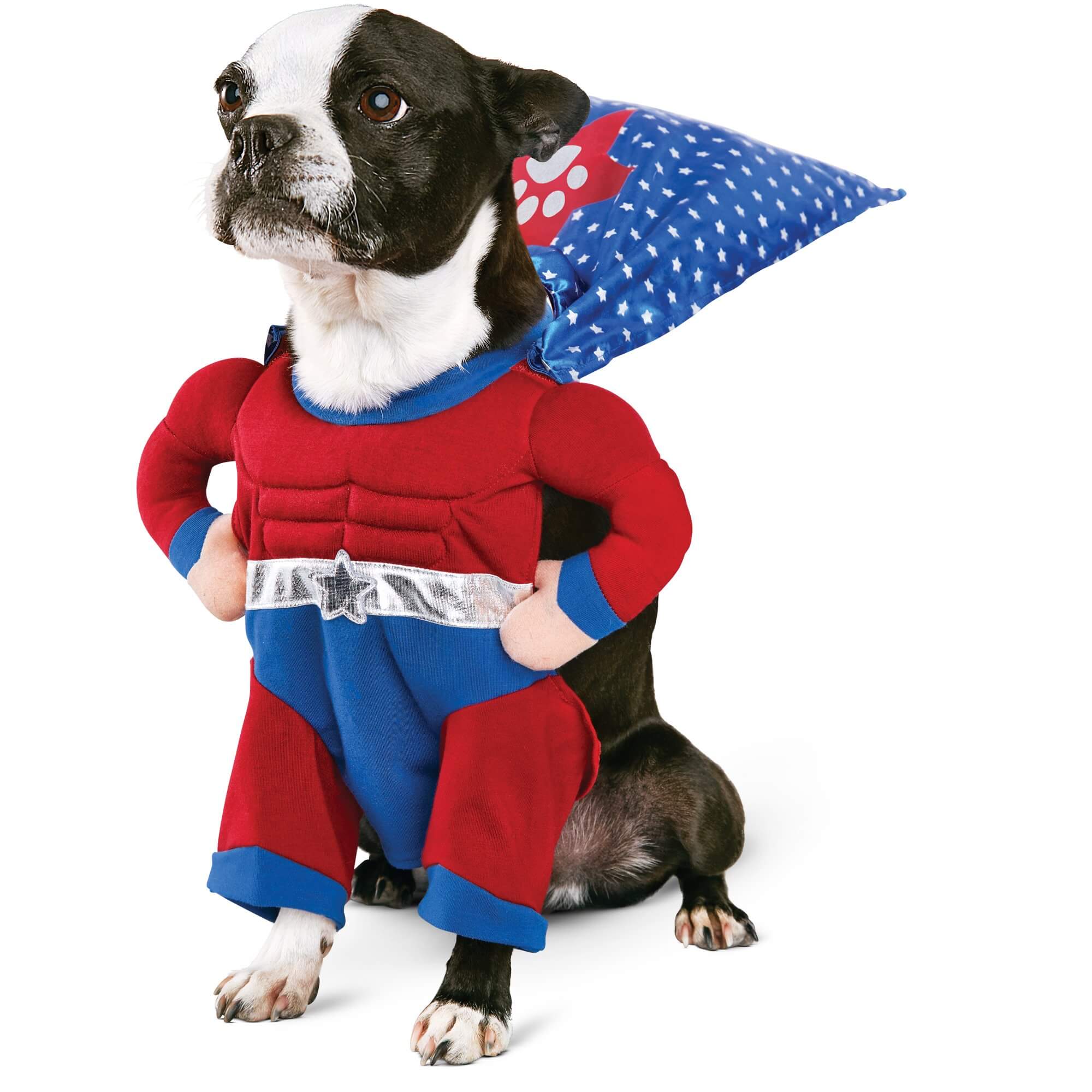 Fancy Dress Costumes For Dogs Uk at Nancy Armstrong blog